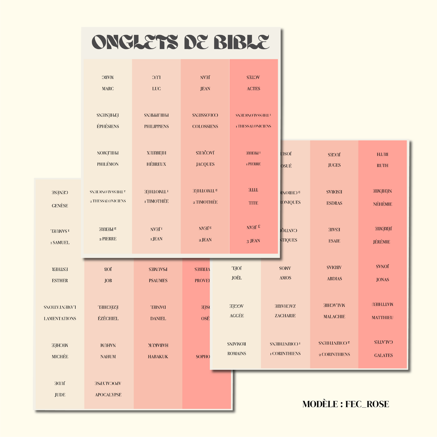 Onglet de Bible
