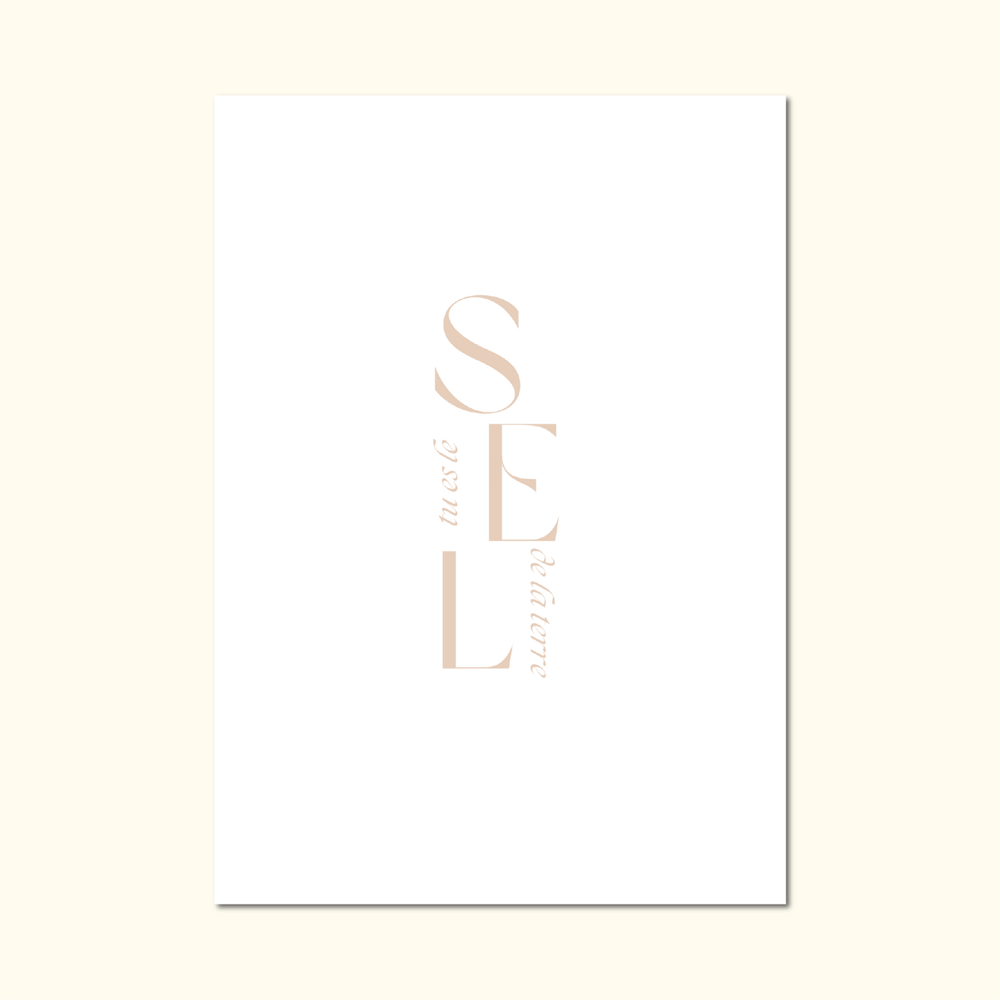 Sel & Lumière